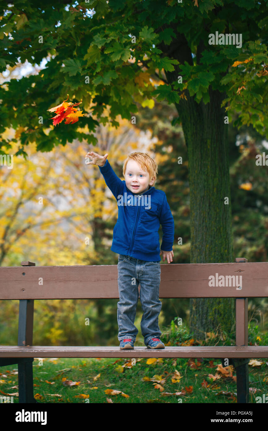 Portrait von cute Funny liebenswert lächelnd Kaukasischen rothaarige Junge mit blauen Augen werfen Blätter im Herbst in der Luft. Kid spielen im Freien im Herbst Park Stockfoto