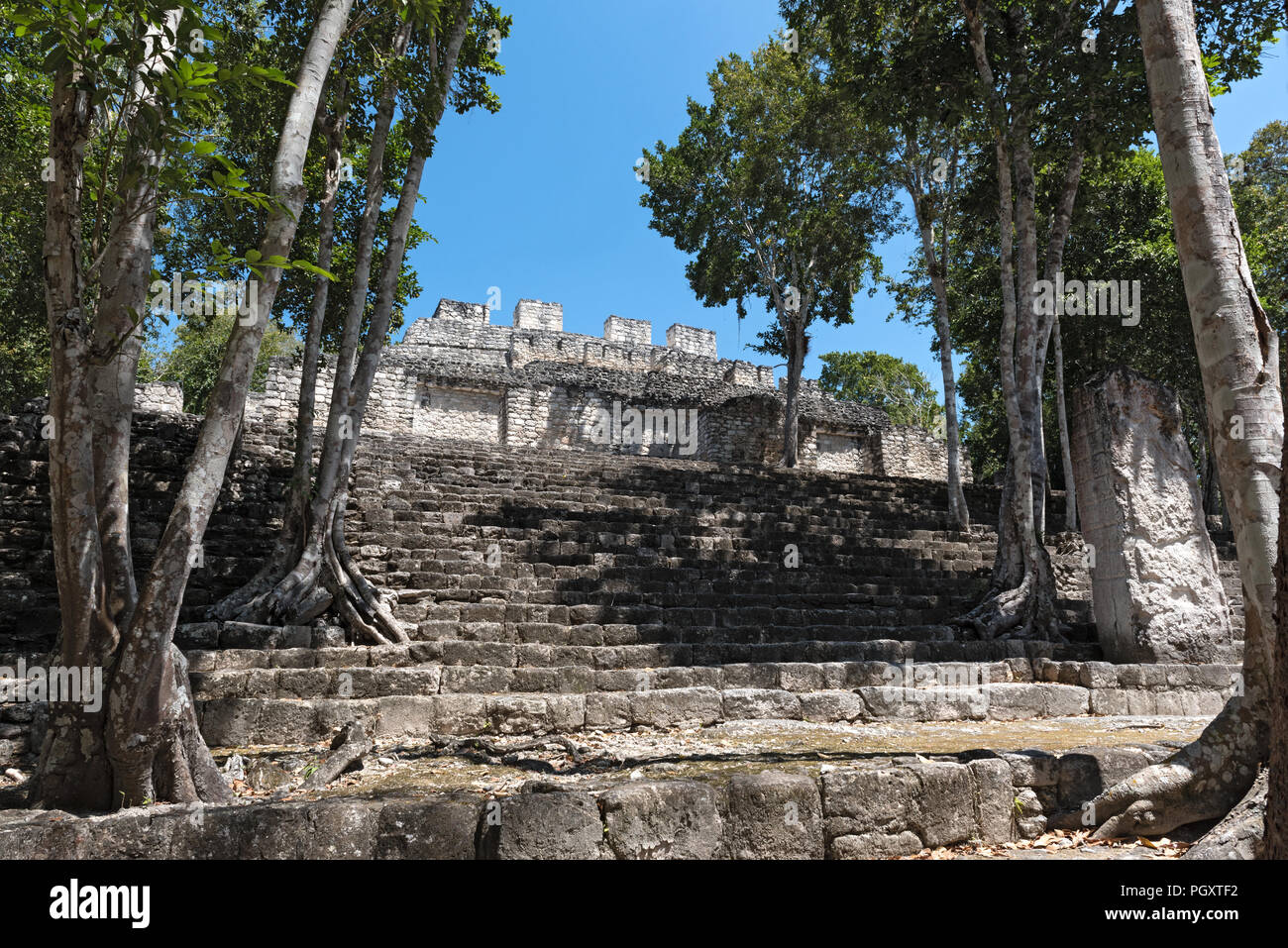 Die Ruinen der antiken Stadt calakmul, Campeche, Mexiko. Stockfoto