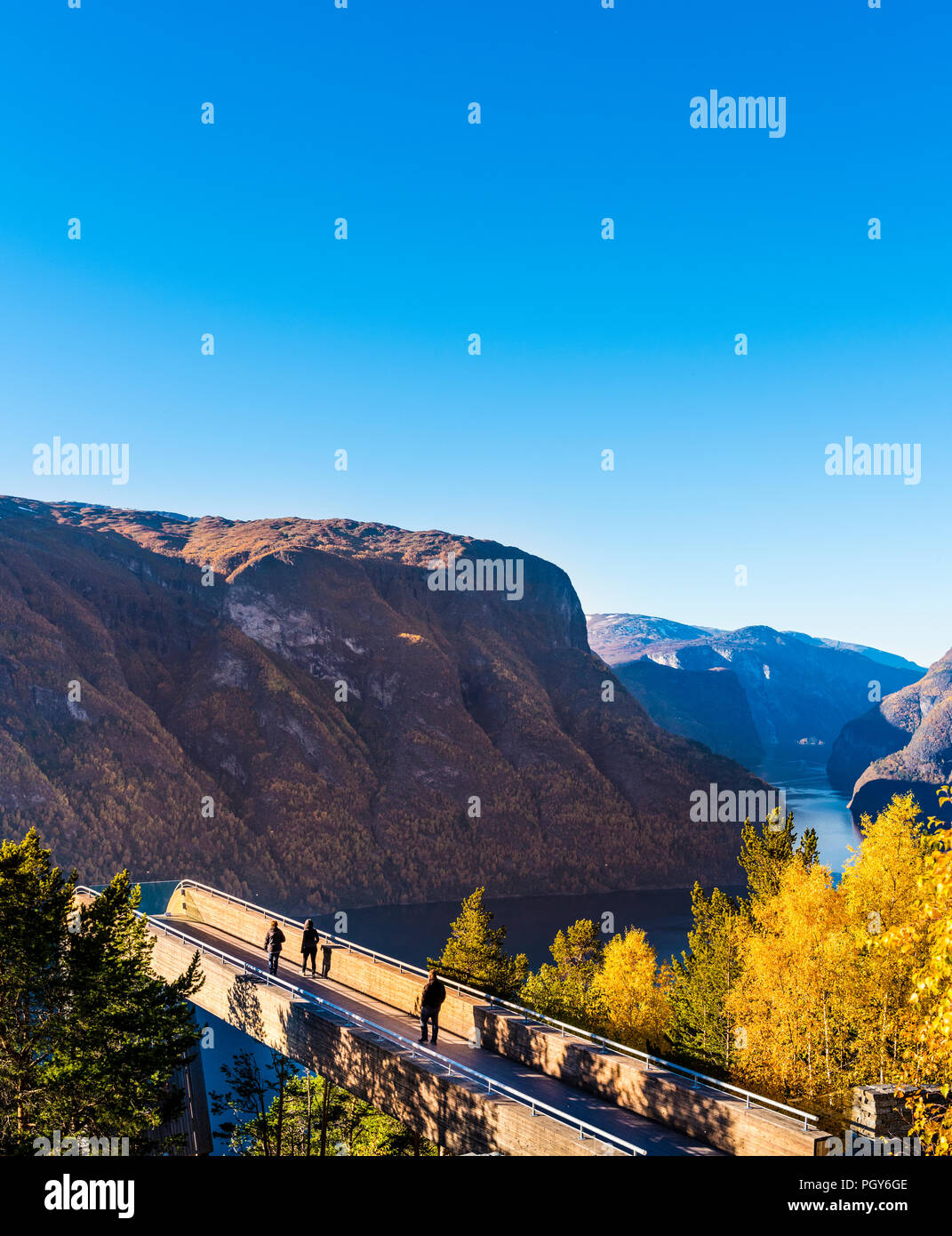 Herbst Farben durch den Aurlandsfjord, Norwegen Stockfoto