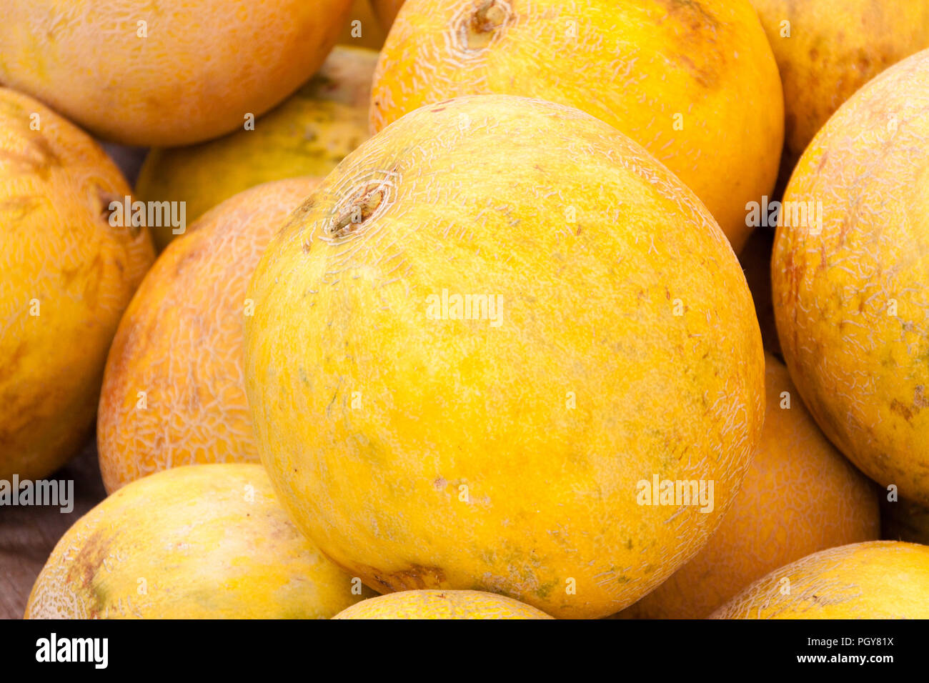 Frische Melonen zum Verkauf auf dem Markt Stockfoto