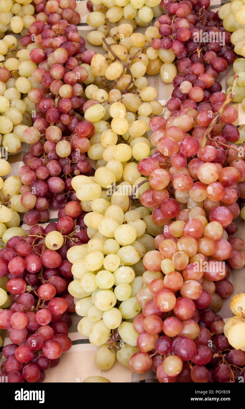 Frische gelbe und rote Trauben auf Lebensmittelgeschäft als backround gemischt Stockfoto