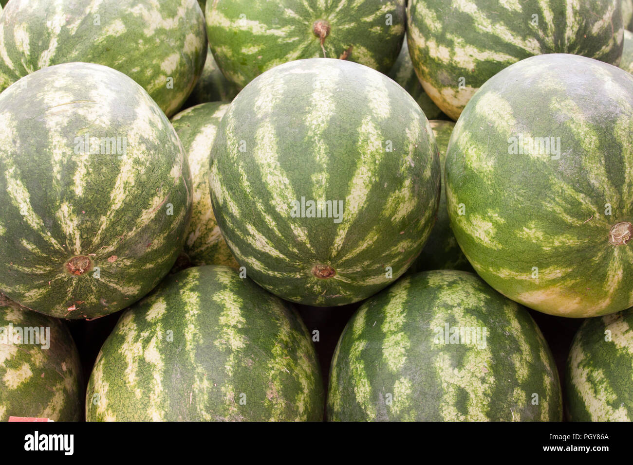 Vielen süssen grünen watermellons als Hintergrund Stockfoto