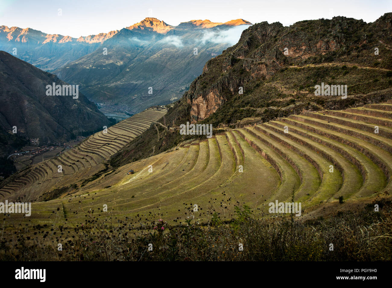 Landwirtschaftlichen Terrassen in Pisa Inka Ruinen im Heiligen Tal in der Nähe von Machu Picchu Stockfoto