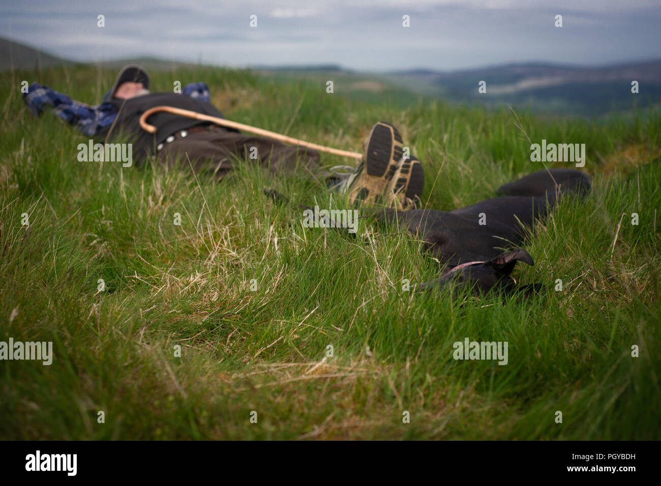 Senior Hund und Mann schlafen im Gras, auf einem Hügel in ländlichen Schottland Stockfoto