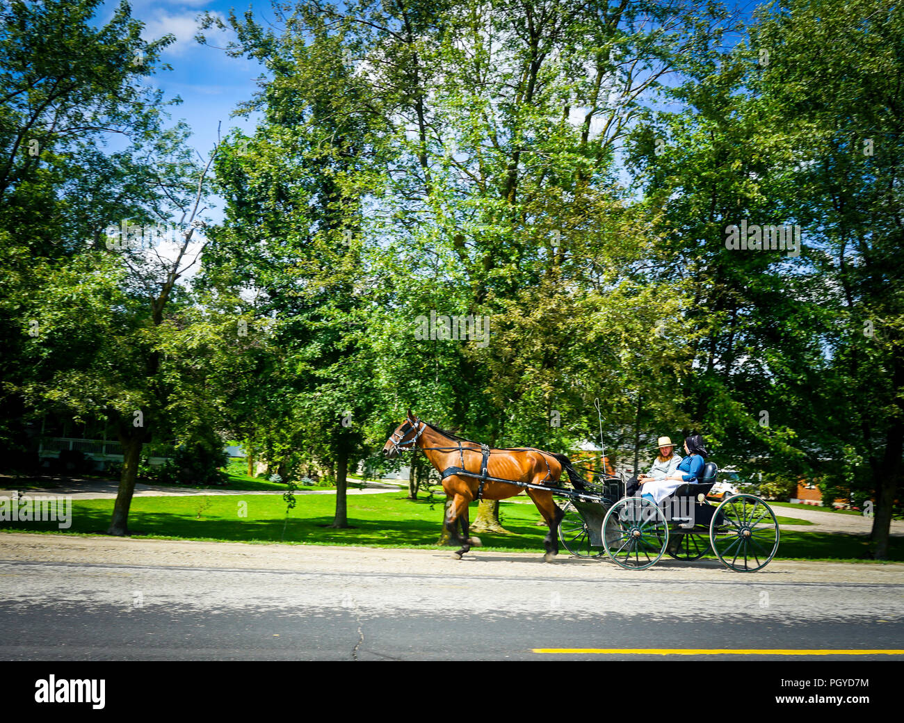 Mennonite Farmen Ackerland Und Pferd Und Buggy In Der Nahe Von Elmira In Ontario Kanada Stockfotografie Alamy