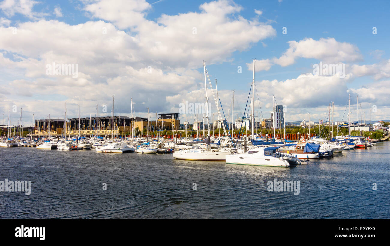 Segelboote und Motorboote vertäut an der Cardiff Bay, Cardiff, Wales, Vereinigtes Königreich. Stockfoto