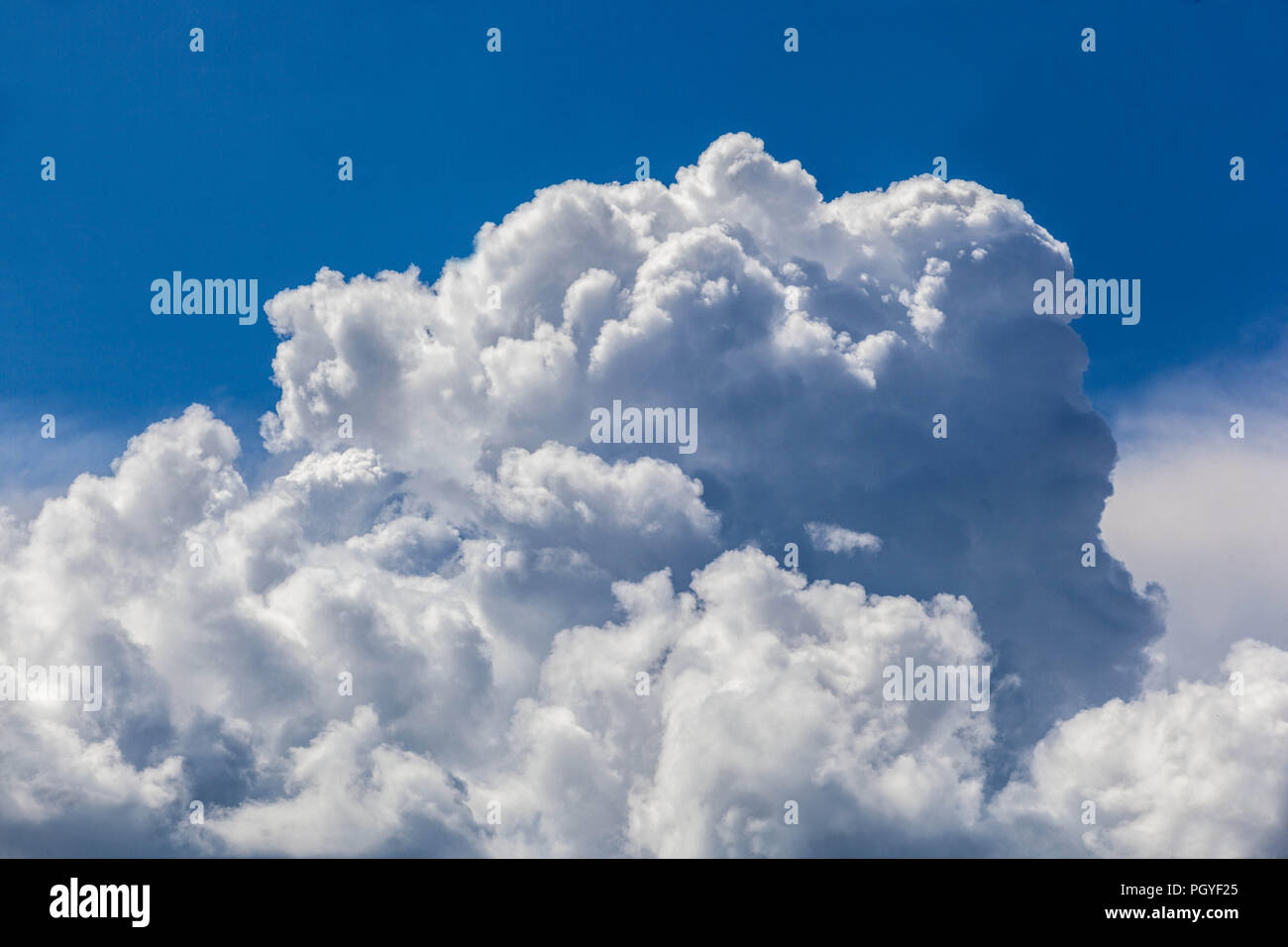 Die Bildung von Sturmwolken formt flauschige weiße Cumulus Wolken am blauen Himmel Sommerwetter dramatische weiße Wolke blauer Himmel Stockfoto