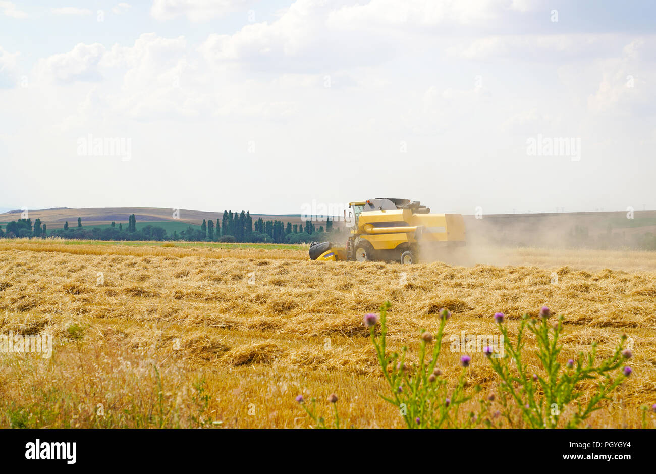 Riesige gelbe arbeiten Weizen Mähdrescher Maschine auf goldenen Weizenfelder im Sommer, Ankara, Türkei Stockfoto