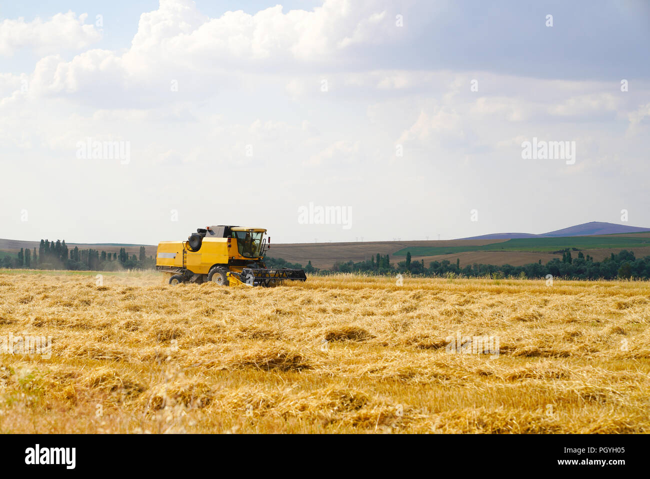 Riesige gelbe arbeiten Weizen Mähdrescher Maschine auf goldenen Weizenfelder im Sommer, Ankara, Türkei Stockfoto
