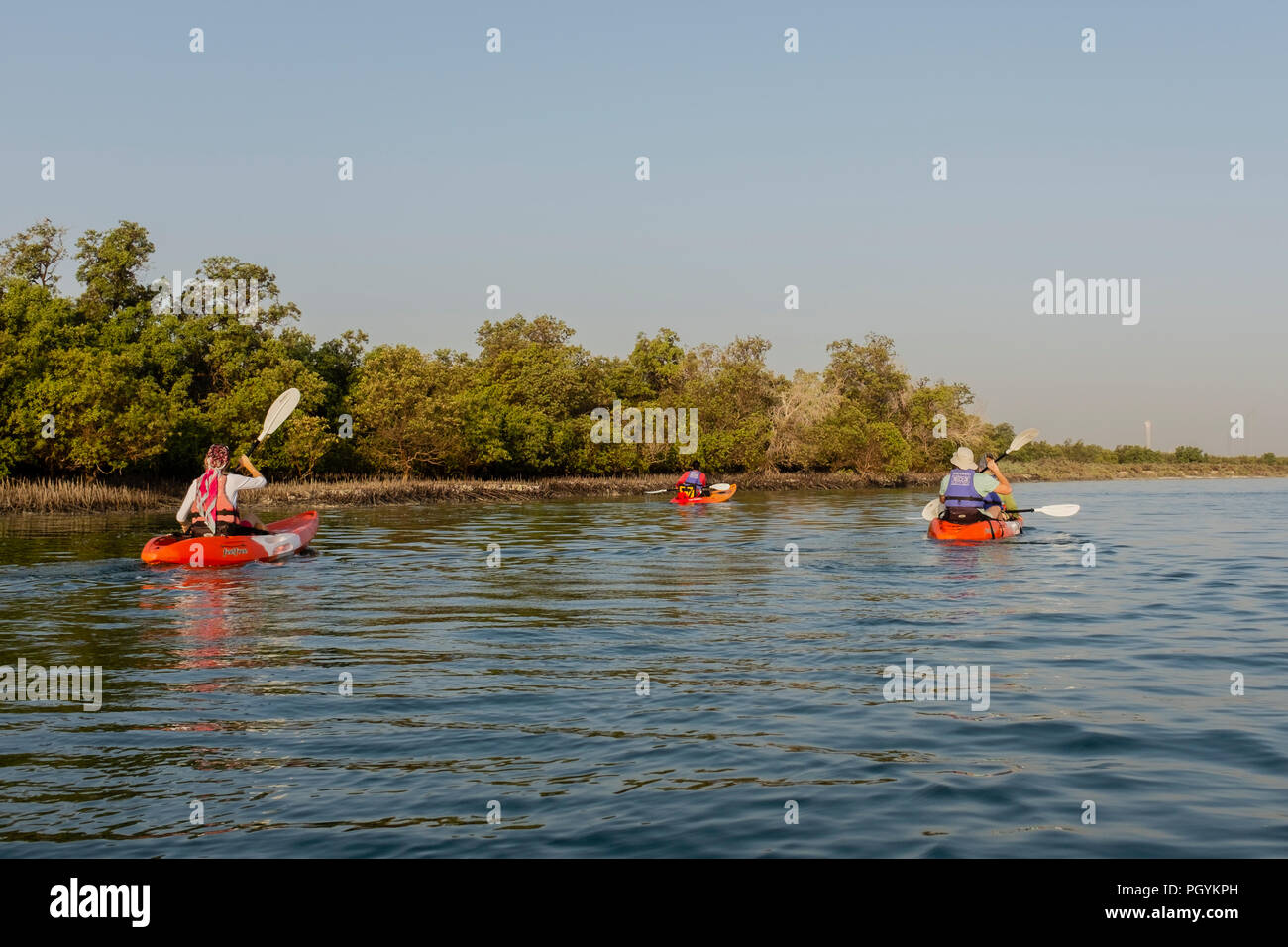 Kajak in Mangrove Nationalpark, Abu Dhabi, Vereinigte Arabische Emirate. Die natürlichen Mangrovenwälder sind ein beliebter Spielplatz für Aktivitäten im Freien. Stockfoto