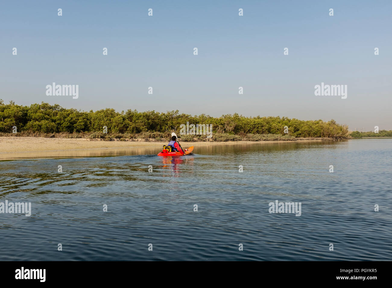 Kanufahren in Mangrove Nationalpark, Abu Dhabi Stockfoto
