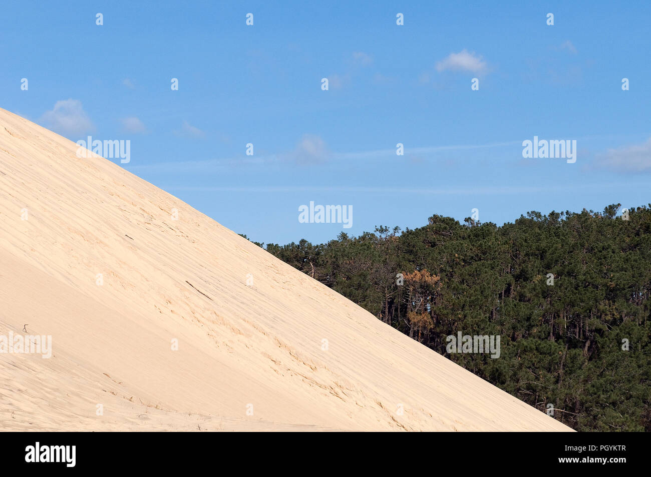 Frankreich - Arcachon - Gironde (33) - Düne von Pyla oder Pilat Stockfoto