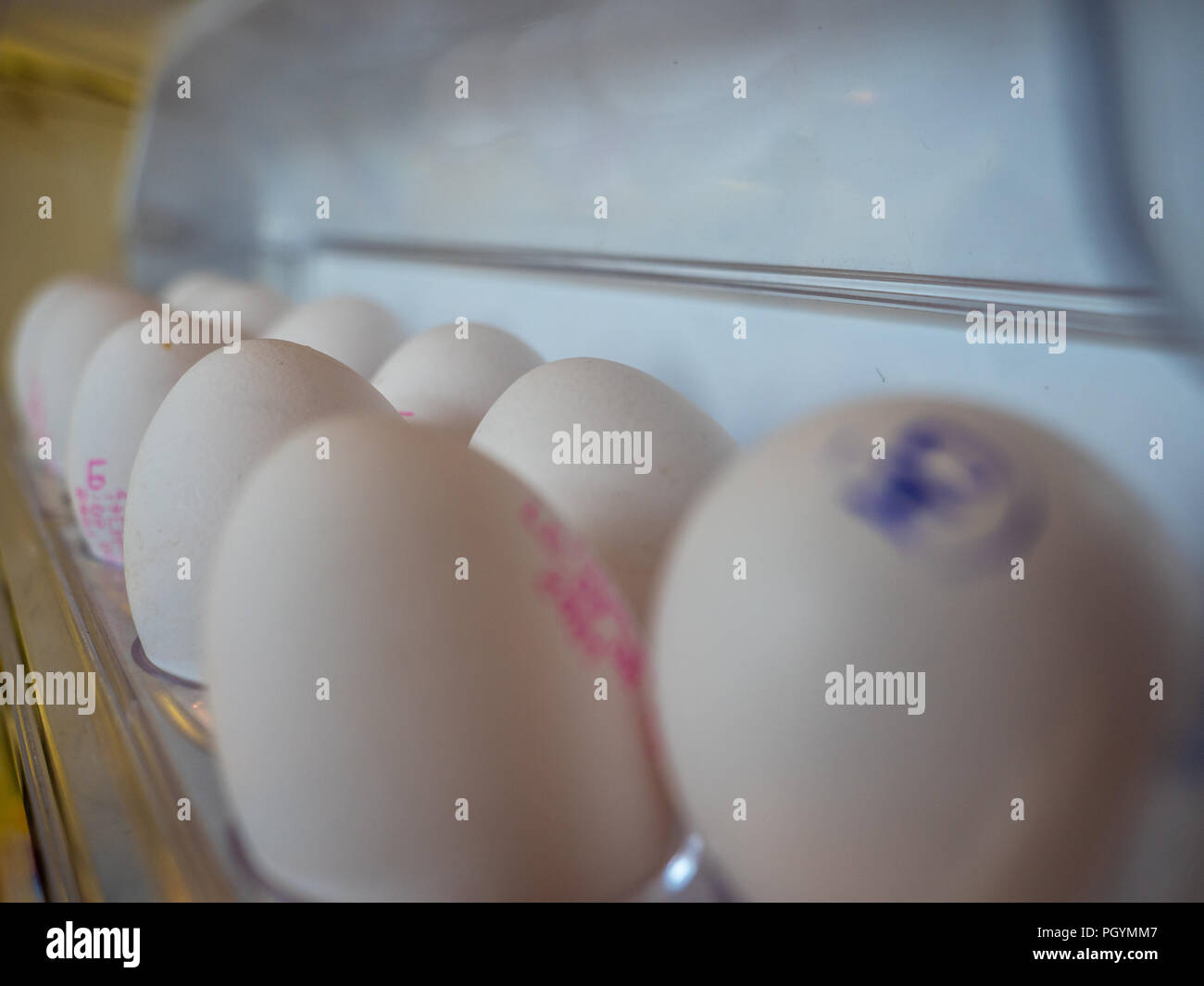 Frische Eier im Kühlschrank aufgereiht mit Druck auf Schweizer Eier Stockfoto