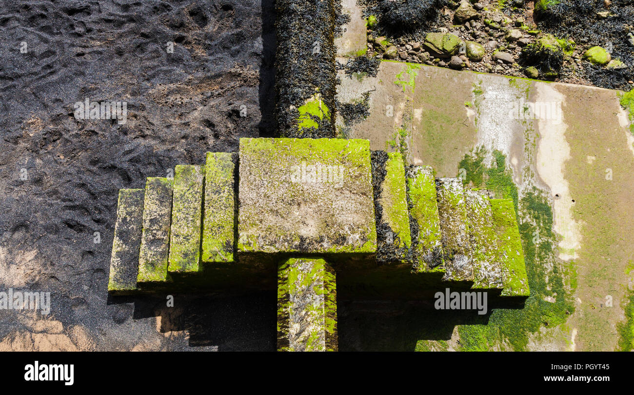 Eine Reihe von Schritten auf dem Stein Buhnen in Moos am Vorgewende unter Hartlepool, England, Großbritannien Stockfoto