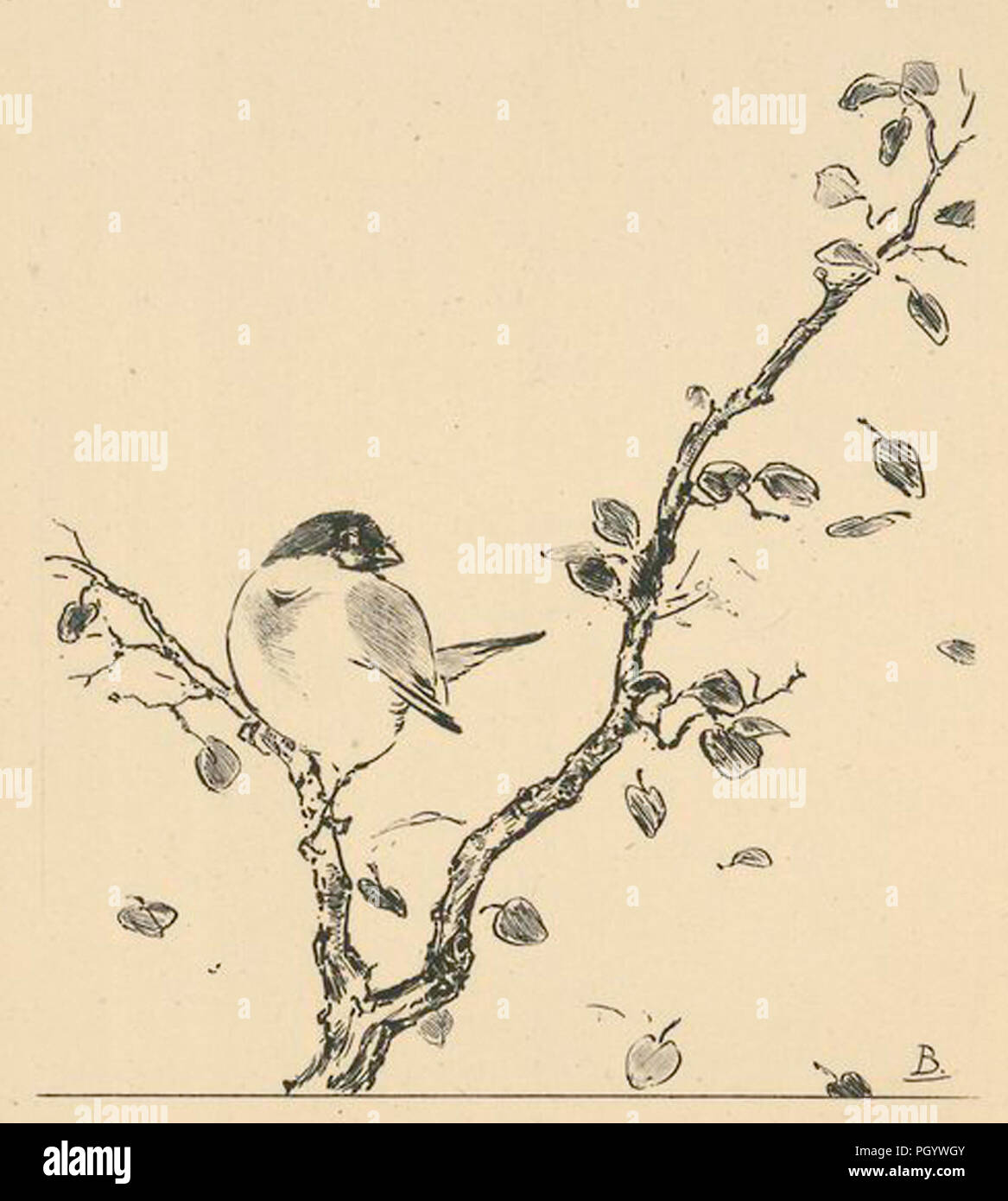Vogel auf einem Ast Stockfoto