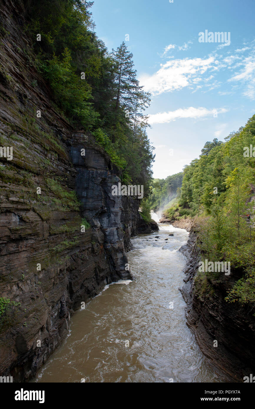 Die Genesee River fließt durch eine Schlucht in Letchworth State Park in Kastilien, NY, USA. Stockfoto