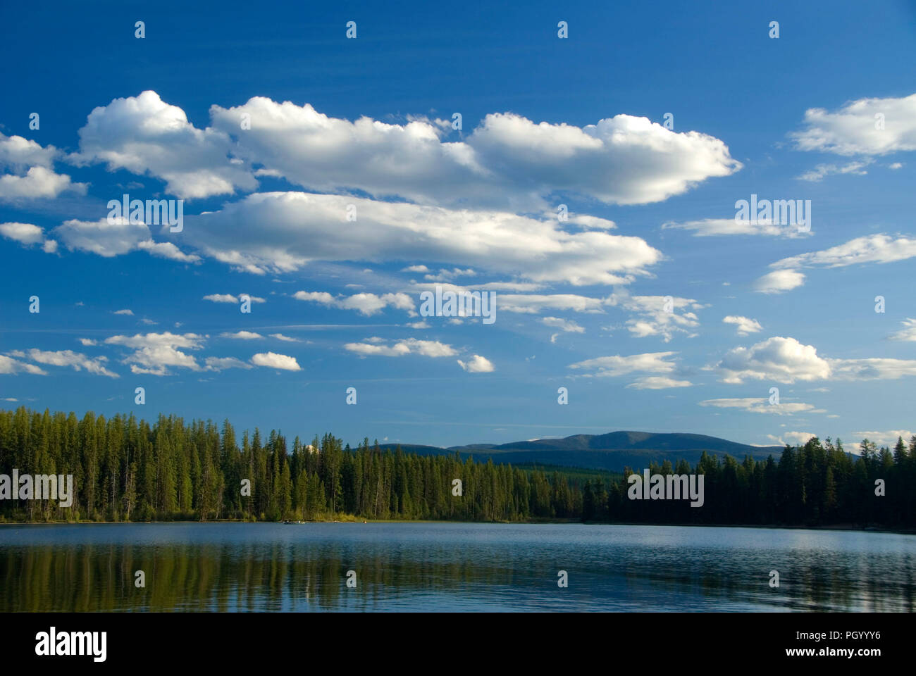 Holland-See, Flathead National Forest, Montana Stockfoto