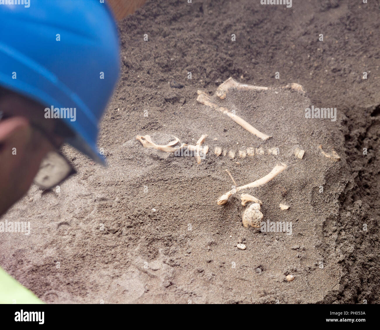 Verbrannte Menschliche Knochen Stockfotos Und Bilder Kaufen Alamy