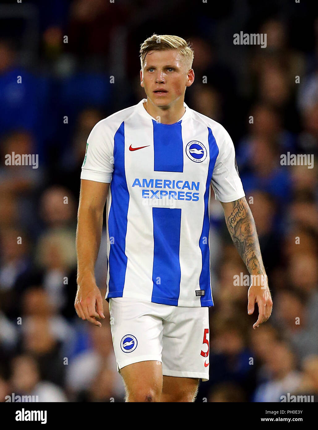 Brighton & Hove Albion wird Kragen Stockfoto