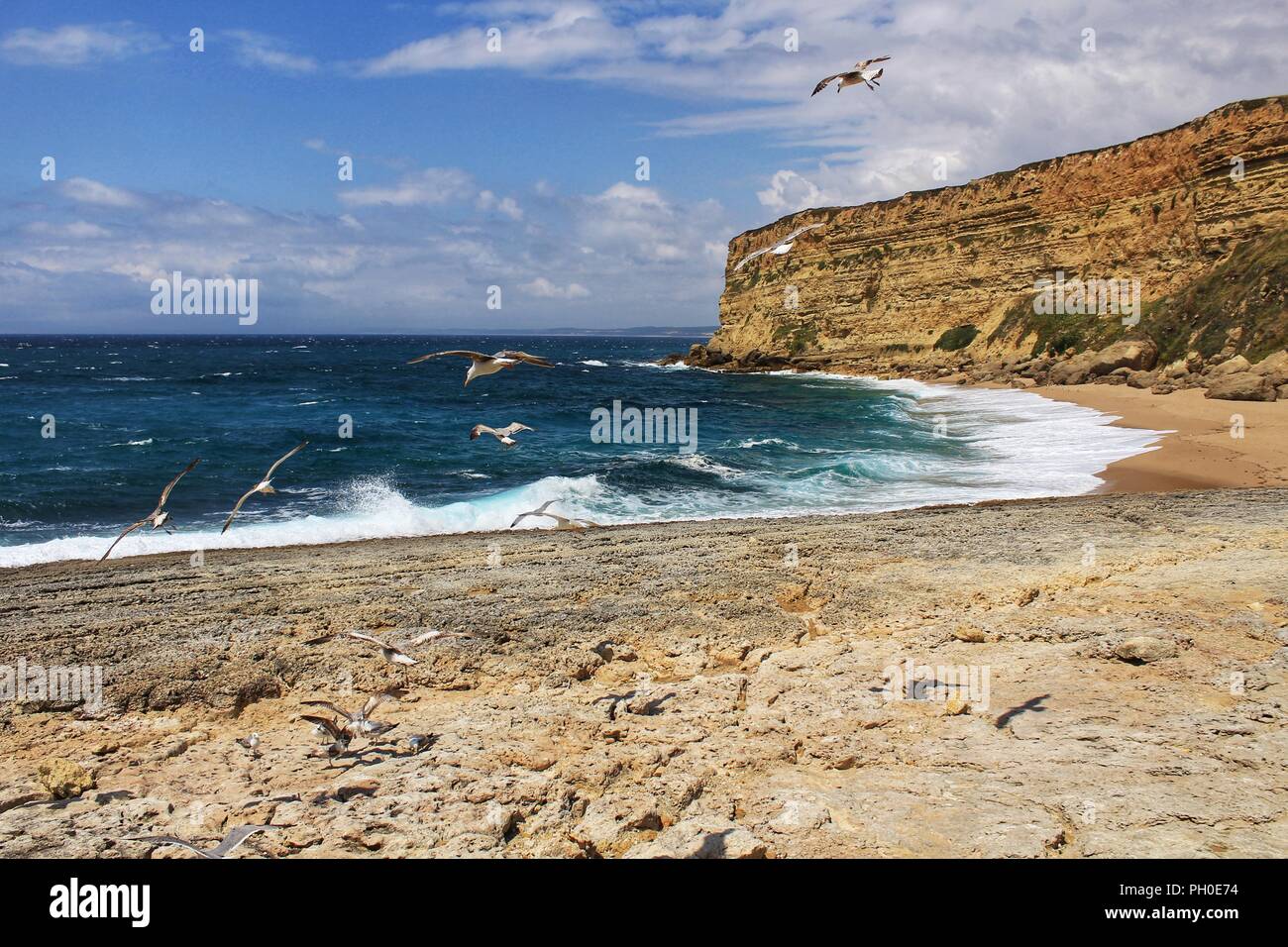 Crystal Clear und wilde Gewässer in Praia da Foz, Sesimbra, Portugal. Golden Sand, Möwen fliegen, Klippen und Felsen Stockfoto