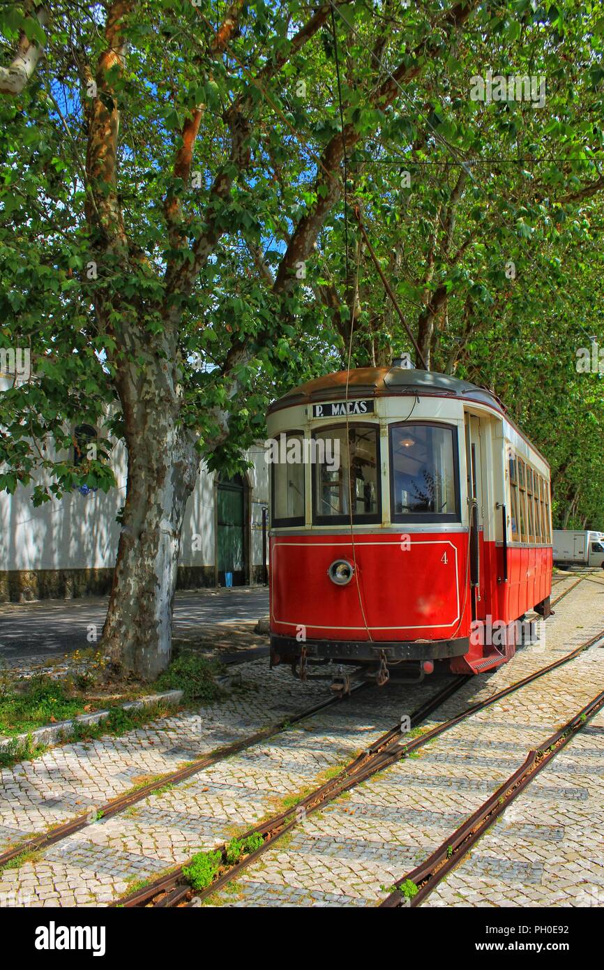 Bunte rote Straßenbahn durch die Straßen von Sintra, Lissabon im Frühling. Stockfoto