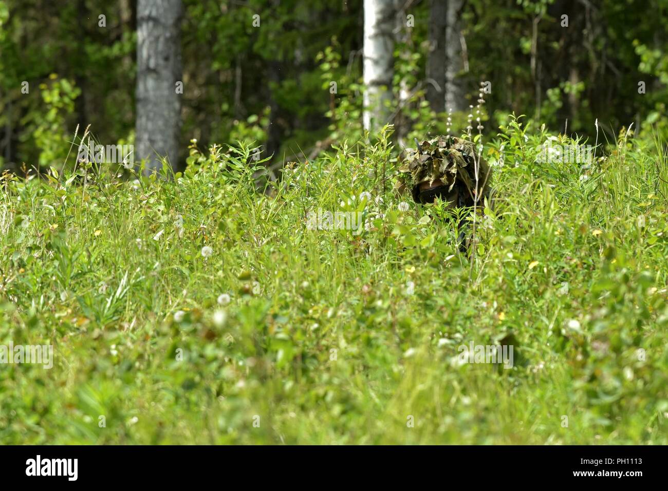 Ein 1 Airborne Brigade japanischen Boden Verteidigung-kraft Fallschirmjäger fährt in Position Unterstützung durch Feuer während des Trainings mit US-Armee Alaska 1 Stryker Brigade Combat Team zur Verfügung zu stellen, 25 Infanterie Division bei Joint Base Elmendorf-Richardson als Teil der Übung Arktis Aurora, 14. Juni 2018. Arktis Aurora ist eine jährliche bilaterale Übung, in denen Elemente von U.S. Army Alaska und die JGSDF, die konzentriert sich auf die Stärkung der Beziehungen zwischen den beiden, indem sie kombiniert die kleine Einheit airborne Kenntnisse und grundlegende Kleinwaffen Treffsicherheit mit Schwerpunkt auf der Bekämpfung der Bereitschaft und Intero Stockfoto