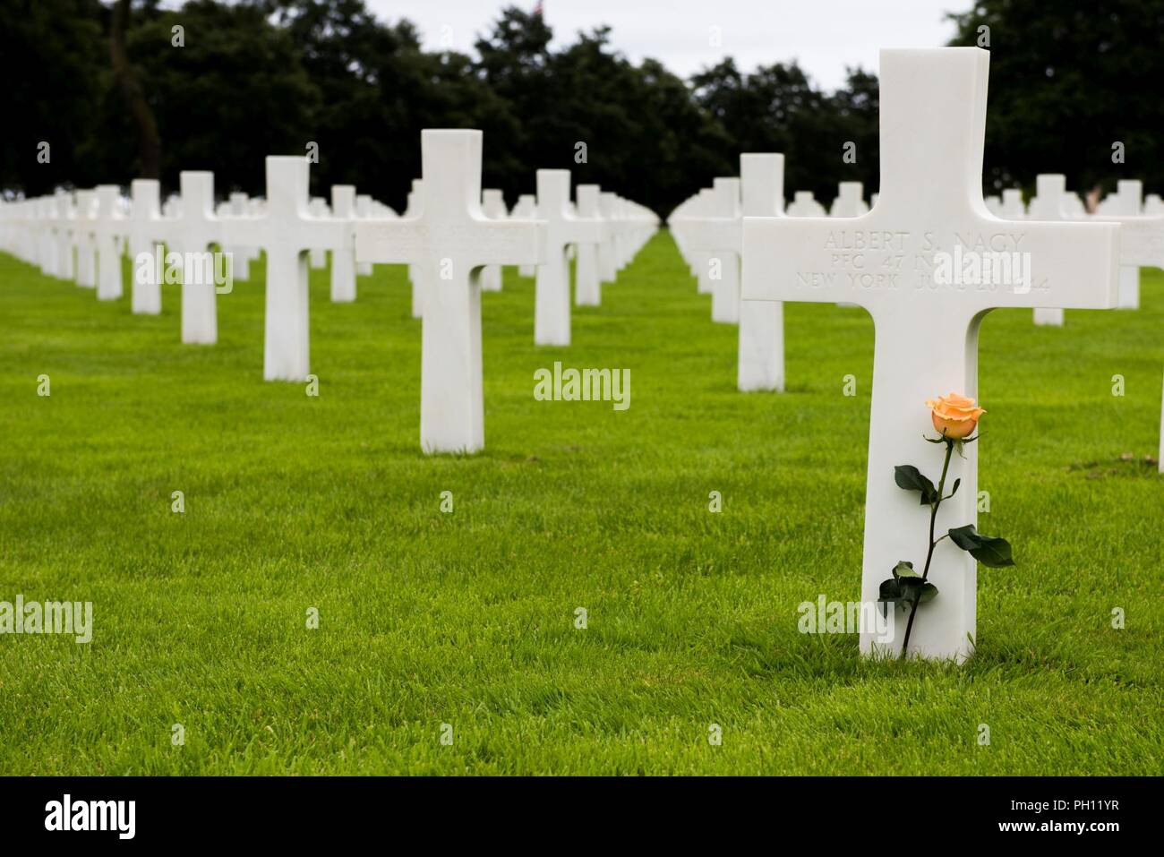 Normandie, Frankreich (19. Juni 2018) eine einzelne orange Rose liegt am Grab des Private First Class Albert Nagy in der Normandie amerikanischen Friedhof. Nagy und andere Service Mitglieder in der Normandie begraben wurden bei der Invasion von Frankreich Anfang am D-Day, 6. Juni 1944 beteiligt. Stockfoto
