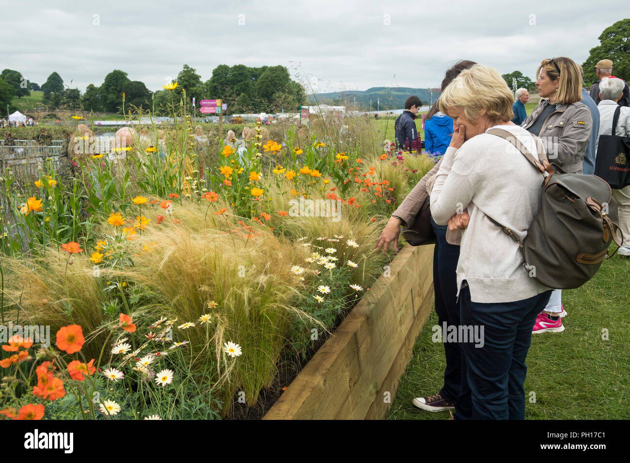 Menschen sehen blühende Pflanzen in angehobener Bett (lange Grenze Wettbewerb) an belebten ländlichen Showground - RHS Chatsworth Flower Show, Derbyshire, England, UK. Stockfoto