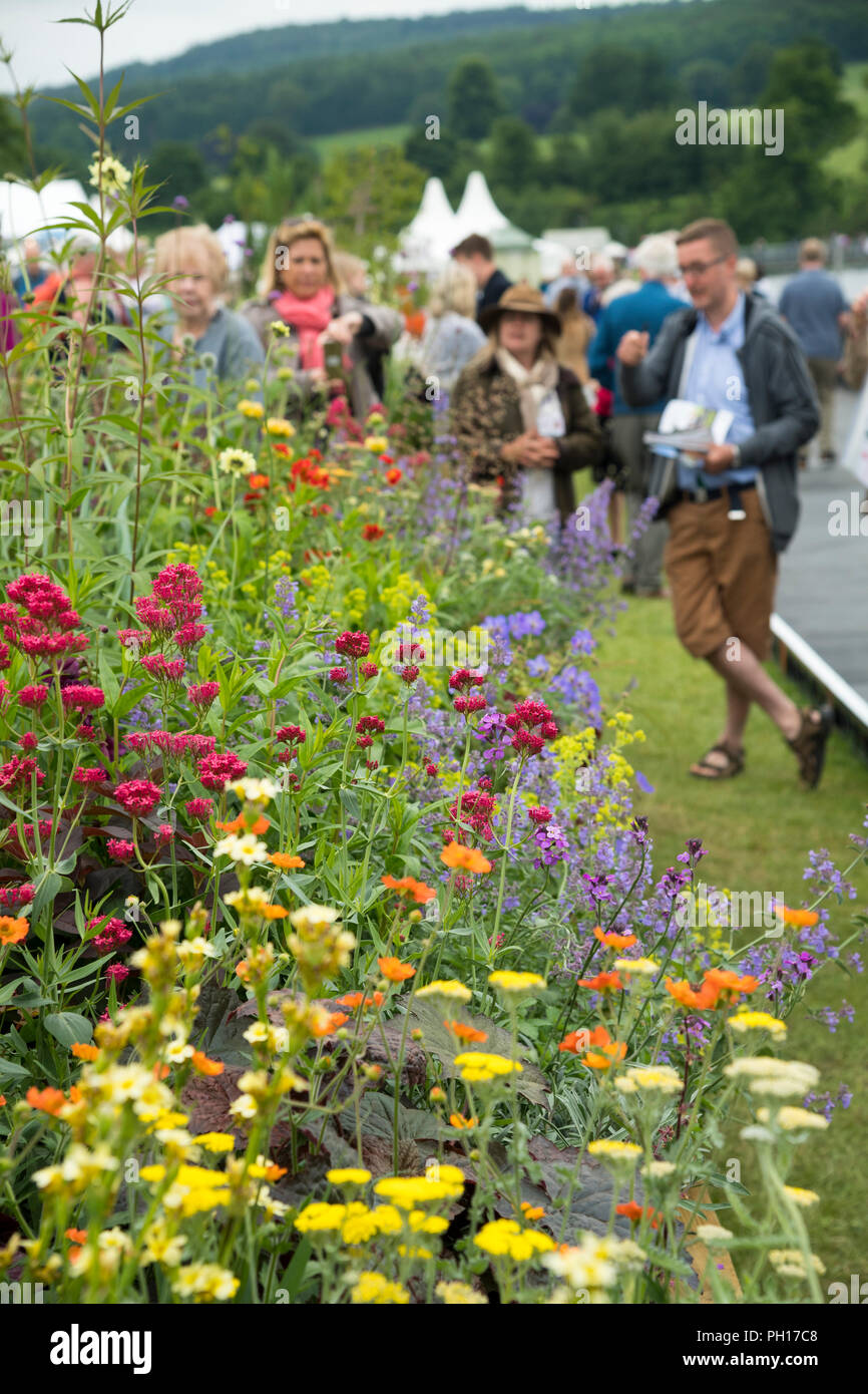 Menschen sehen blühende Pflanzen in angehobener Bett (lange Grenze Wettbewerb) an belebten ländlichen Showground - RHS Chatsworth Flower Show, Derbyshire, England, UK. Stockfoto