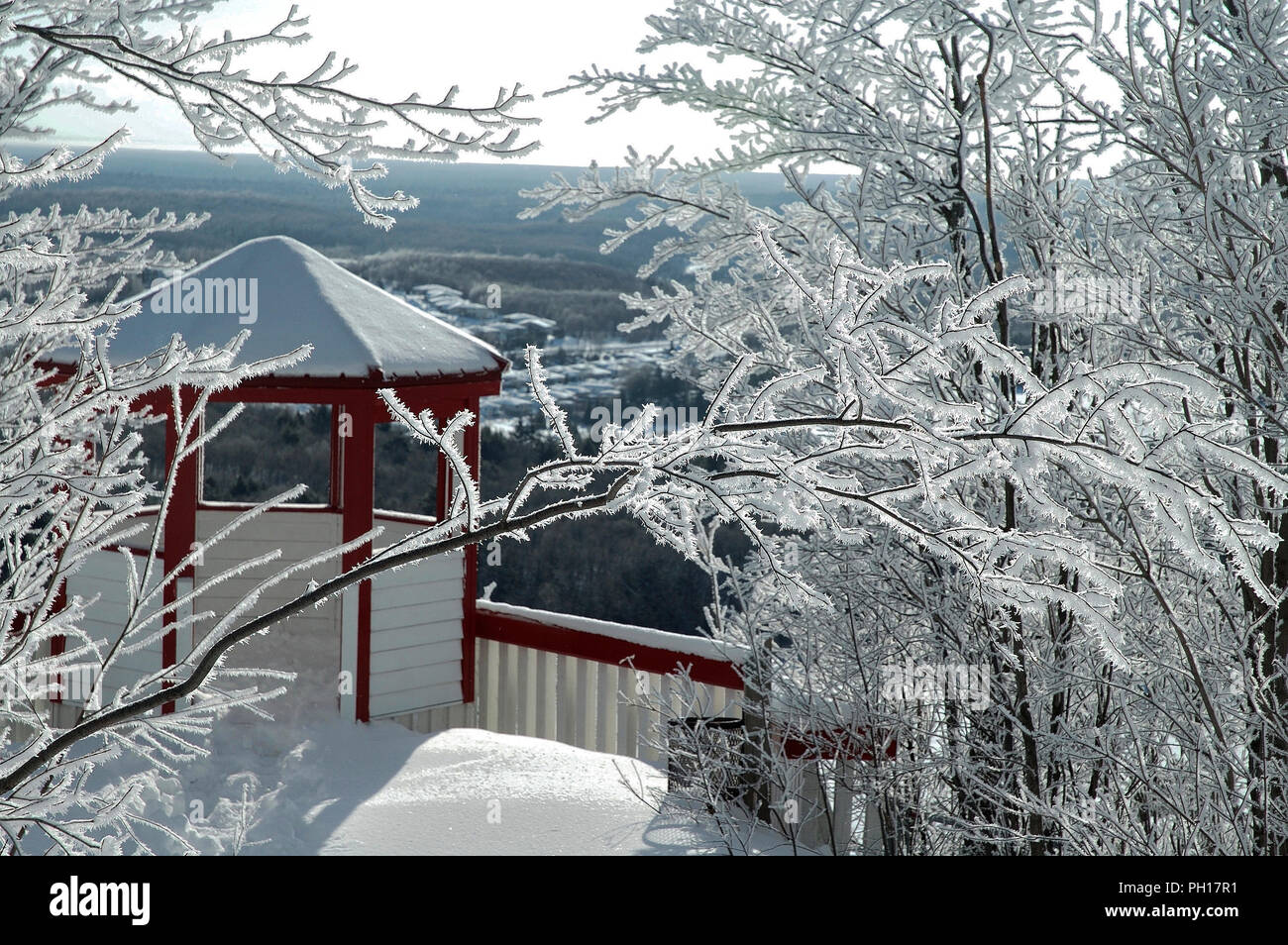 Winterlandschaft mit seiner Schönheit. Stockfoto