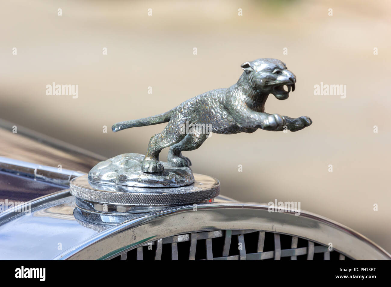 Jaguar Kühler oder Motorhaube Maskottchen Stockfoto