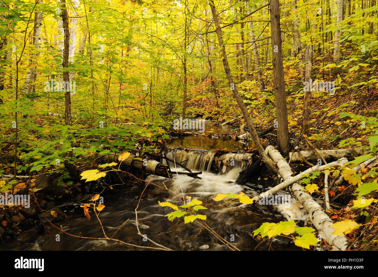 Herbst Landschaft Natur Szene. Stockfoto