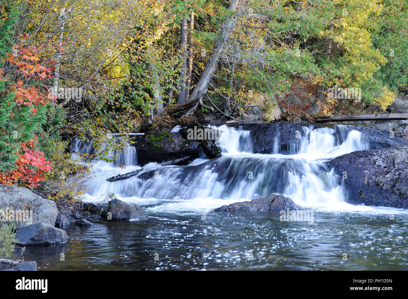 Herbst Landschaft Natur Szene. Stockfoto