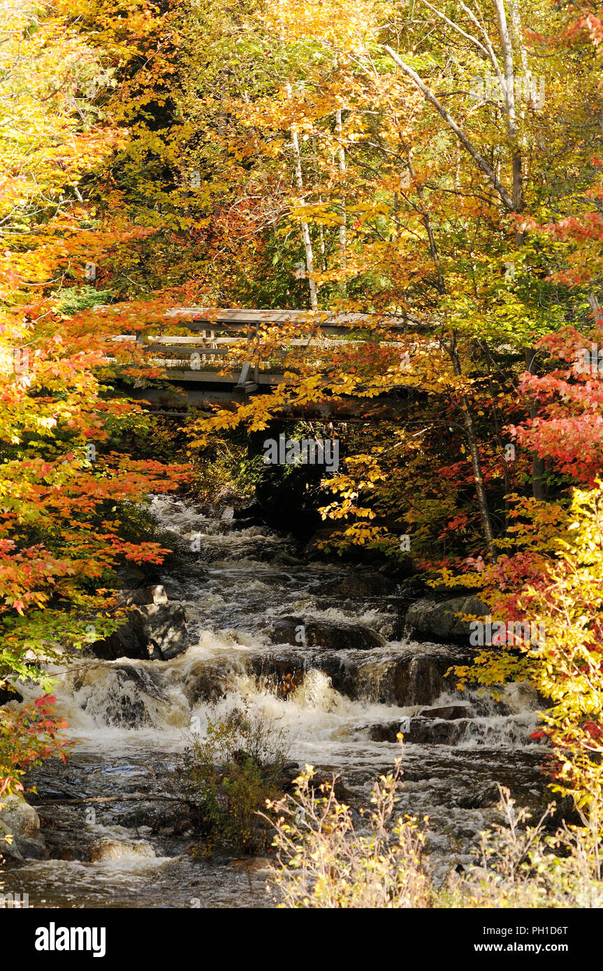 Herbst Landschaft Natur Szene. Stockfoto