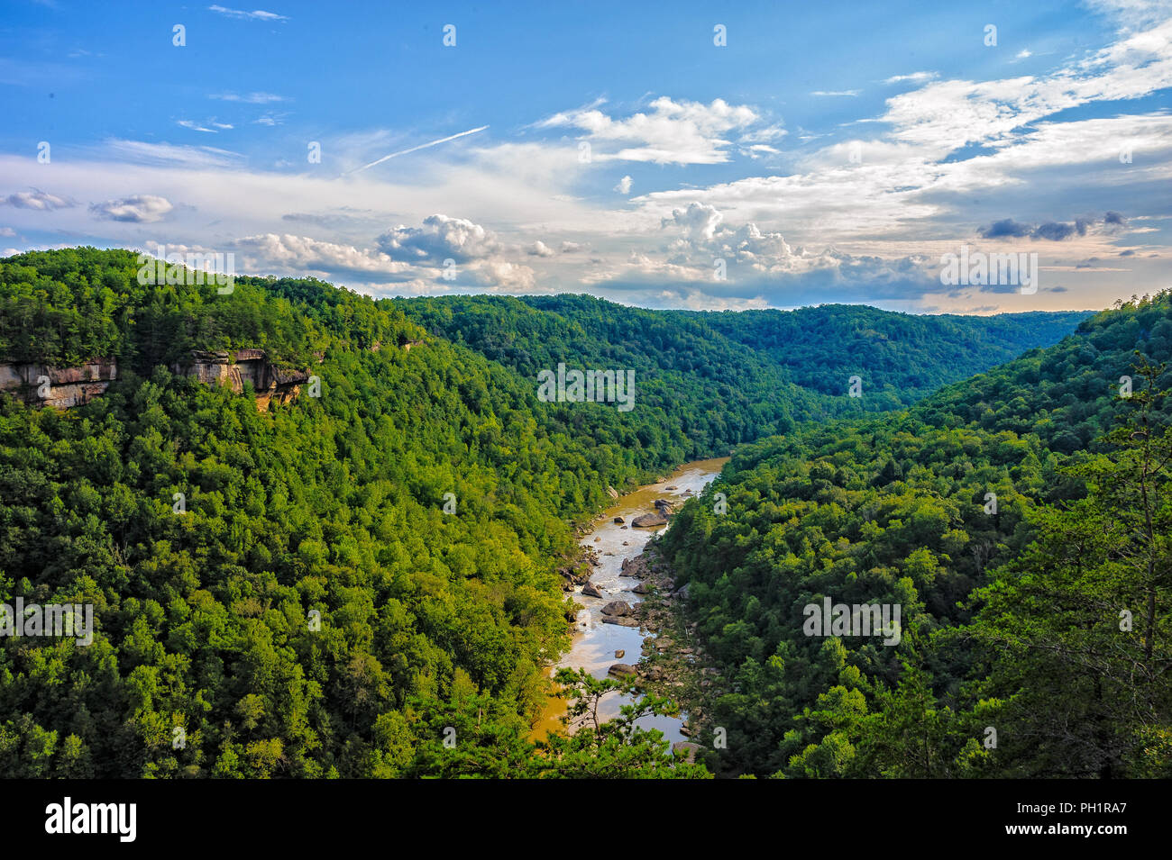 Big South Fork River fließt durch die Cumberland Schlucht von Kentucky Stockfoto