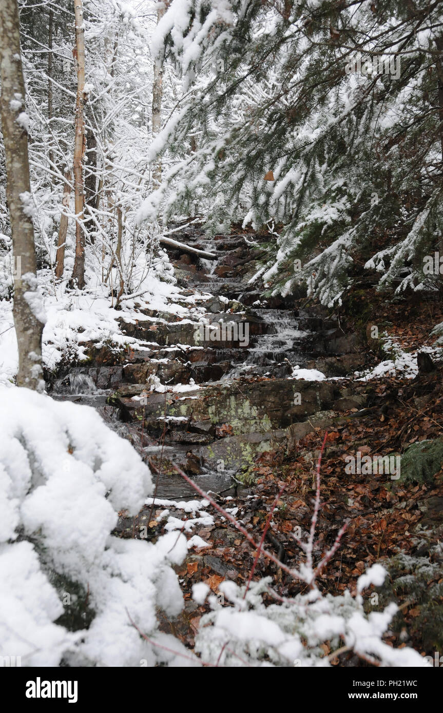 Winterlandschaft seine weiße Decke auf Bäumen. Stockfoto