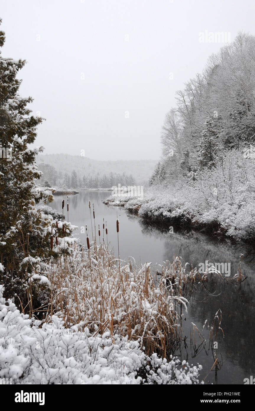 Winterlandschaft seine weiße Decke auf Bäumen. Stockfoto