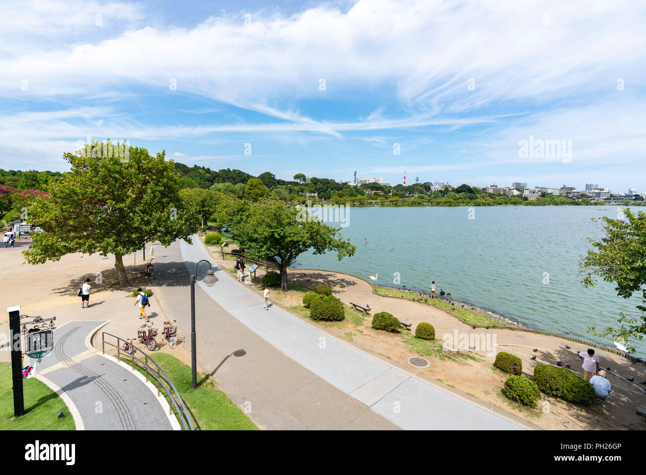 Senba Park, Mito Stadt, die Präfektur Ibaraki, Japan. Stockfoto