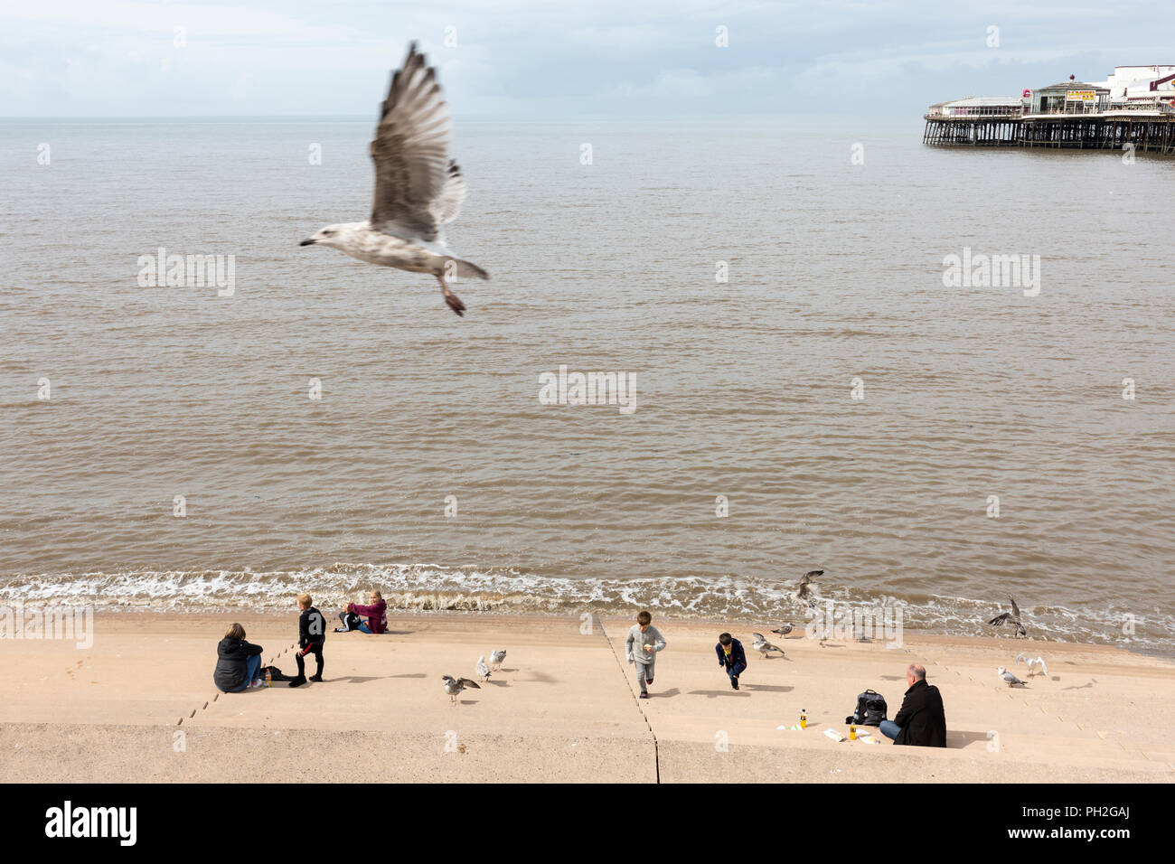 Blackpool, England. 20 Aug, 2018. Sonnige Wetter heute in Blackpool, als Ende der letzten Woche der Sommerferien Ansätze. Familien nutzen Sie das warme Wetter, das Spielen an den Rand des Wassers in der Nähe der Promenade. Credit: Chris Bull/Alamy leben Nachrichten Stockfoto