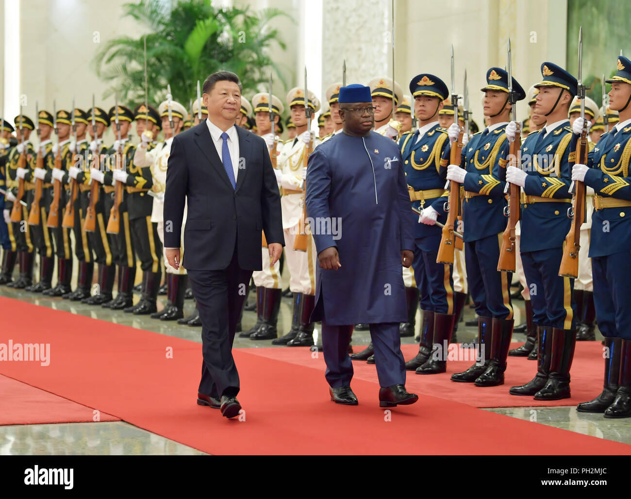 Peking, China. 30 Aug, 2018. Der chinesische Präsident Xi Jinping hält eine Begrüßungszeremonie für Sierra Leone Präsident Julius Maada Bio vor ihren Gesprächen in der Großen Halle des Volkes in Peking, der Hauptstadt von China, Nov. 30, 2018. Credit: Li Tao/Xinhua/Alamy leben Nachrichten Stockfoto