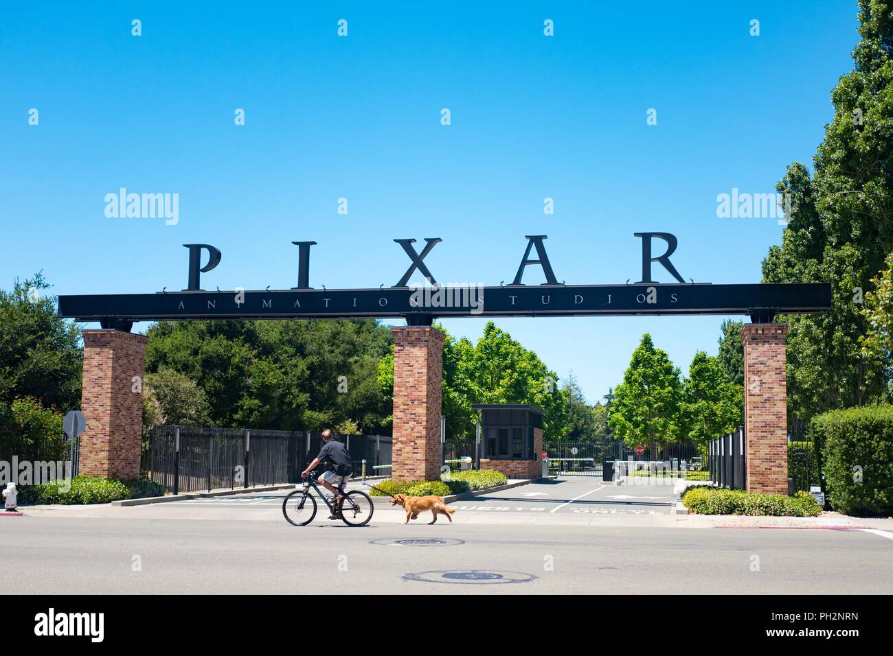 Ein Mann fährt mit dem Fahrrad und seinem Hund hinter den Toren in der Zentrale der Pixar Animation Studios in der Innenstadt von Emeryville, Kalifornien, mit Logo sichtbar, 12. Juni 2018. () Stockfoto