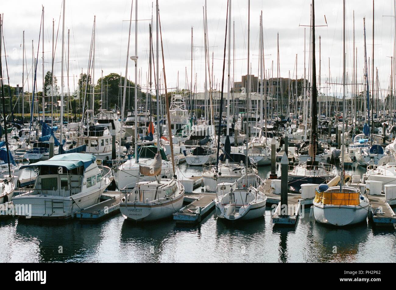 Segelboote und Motorboote sind in Alameda Marina sichtbar, mit nahe gelegenen Häuser und Geschäfte im Hintergrund sichtbar, Alameda Island, Alameda, Kalifornien, 14. Mai 2018. () Stockfoto