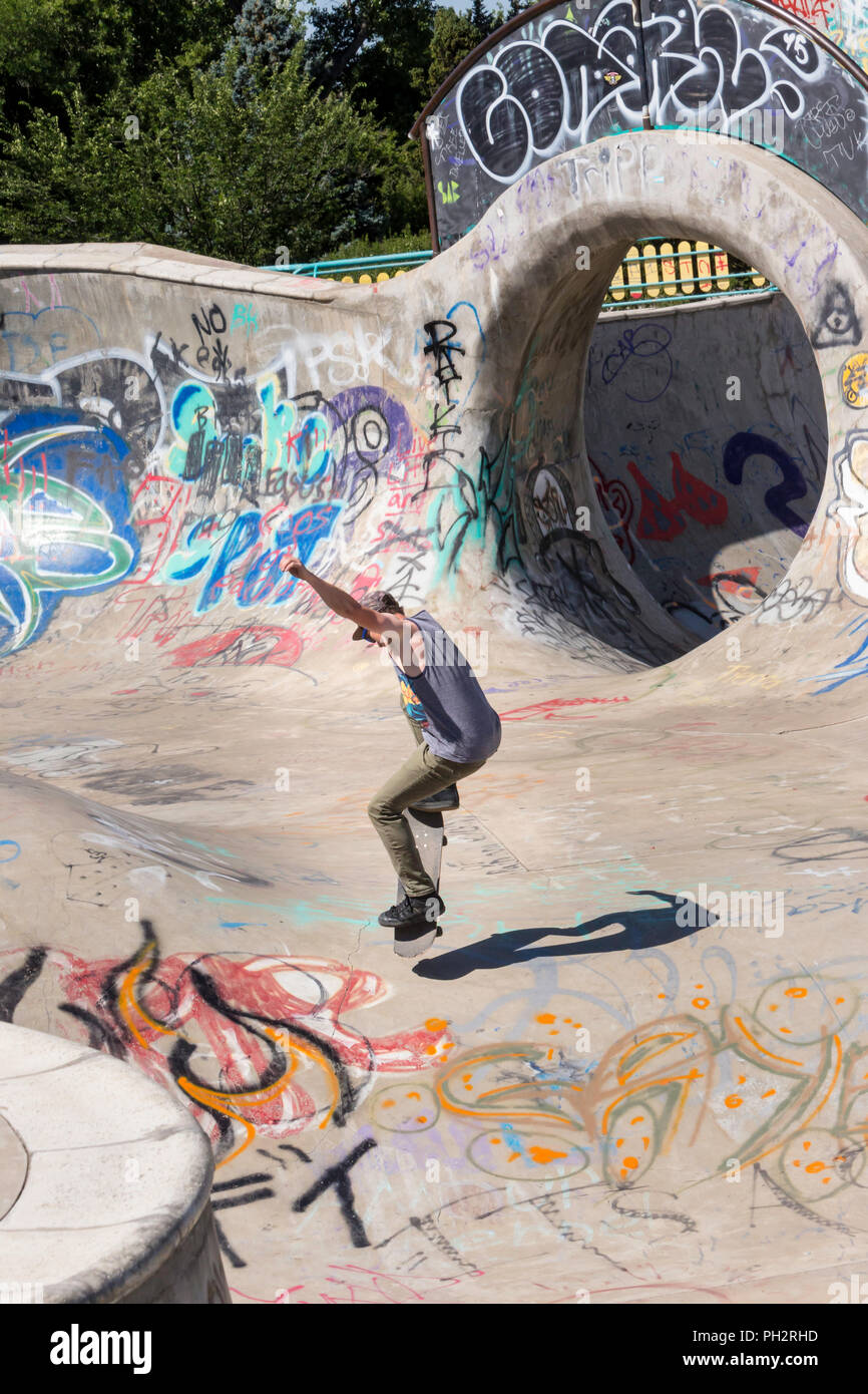 Junger Mann Skateboarder im Riverside River Yard Skateboard Bowl, tolle Herbst, Montana, USA Stockfoto