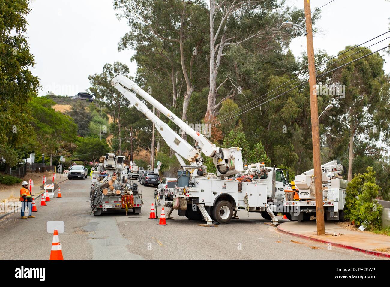 Baustelle als Arbeitnehmer klar Bäume um von Stromleitungen und anderen elektrischen Wartungsarbeiten durchführen, Berkeley, Kalifornien, 21. August 2018. () Stockfoto