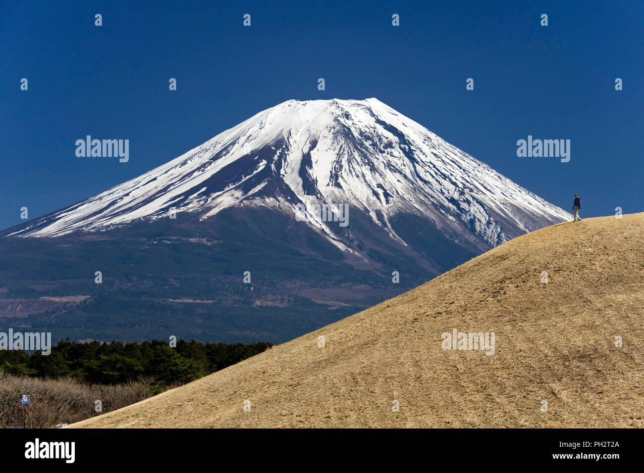 Ein Mann auf einem kleinen Hügel in der Nähe von Mt. Fuji entlang spazieren, die Trekker durch Teile der Asagiri Hochebene in der Präfektur Shizuoka in Japan nimmt entfernt Stockfoto