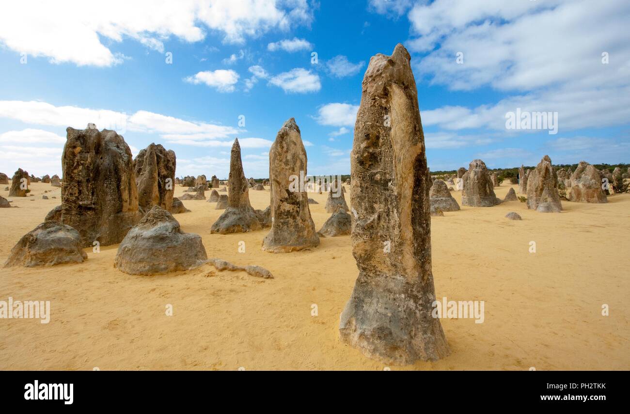 Die Pinnacles Kalksteinformationen in den Nambung Nationalpark, Western Australia Stockfoto