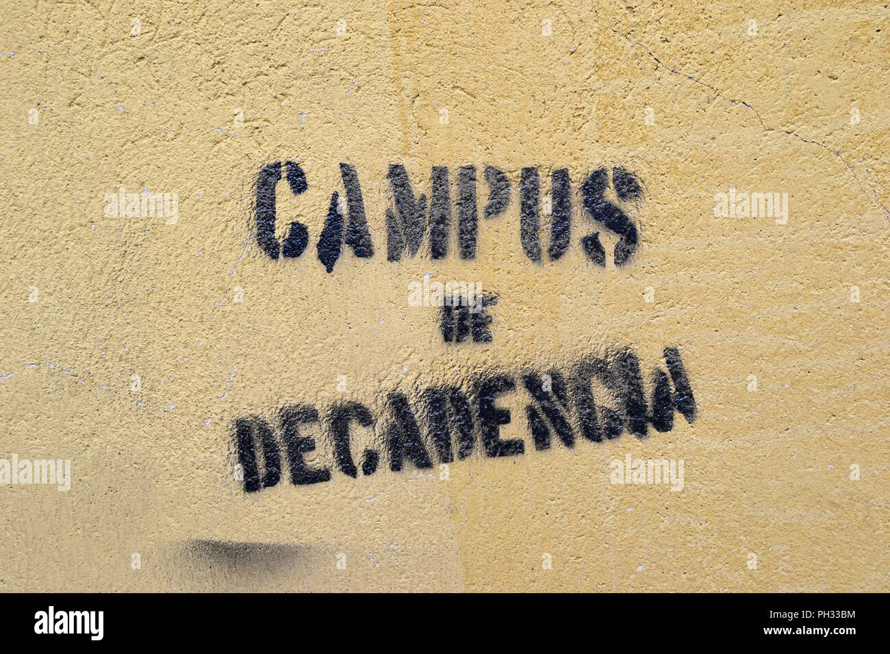 Stenciled politische Graffiti an der Wand, auf dem Campus der Universität von Oviedo in Oviedo, Asturien, Spanien und behauptet, dass es sich um eine "Campus des Niedergangs". Stockfoto