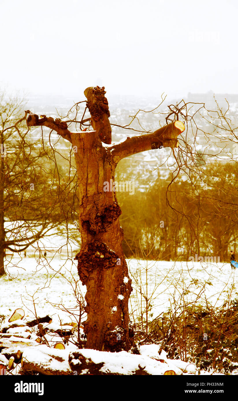 Winter im Alexandra Palace Stockfoto