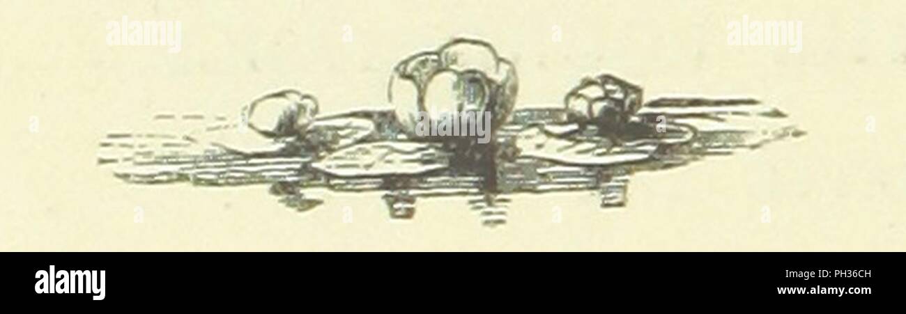 Bild von Seite 12 der "poetische Werke von Alfred Tennyson". Stockfoto