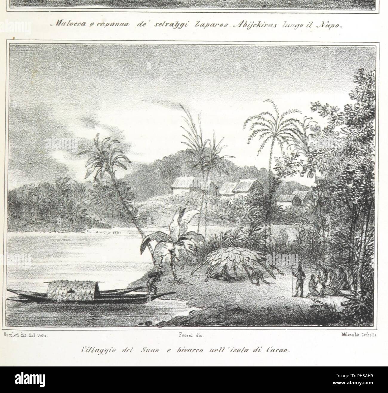 Bild von Seite 191 "Esplorazione delle Regioni equatoriali lungo il Napo ed il Fiume delle Amazzoni, frammento di fatto un Viaggio nelle durch Americhe negli Anni 1846-1847-1848 da G. Osculati. Corredata Di2-carte-topo 0086. Stockfoto